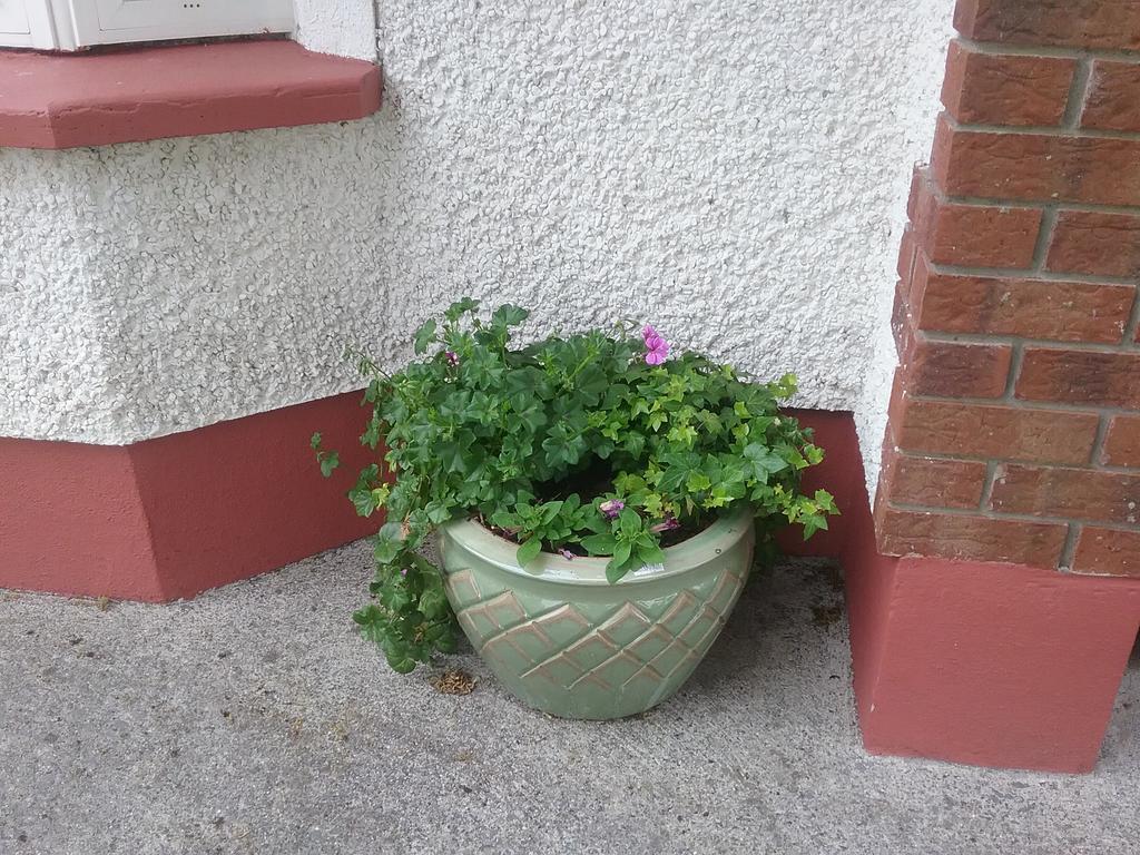 Rocksberry Bed & Breakfast Castlebar Exterior foto