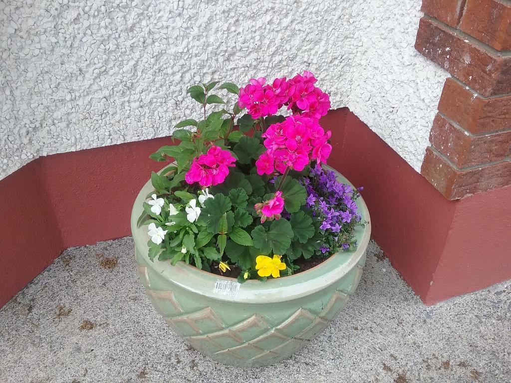 Rocksberry Bed & Breakfast Castlebar Exterior foto